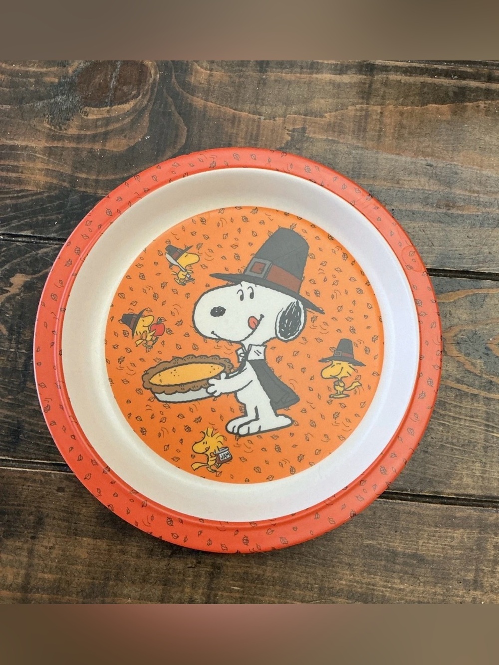 Peanuts Snoopy and Woodstock Thanksgiving Kids Dinner Plate